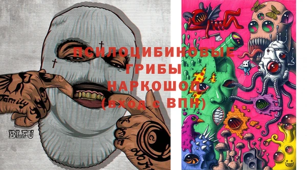 стафф Бородино