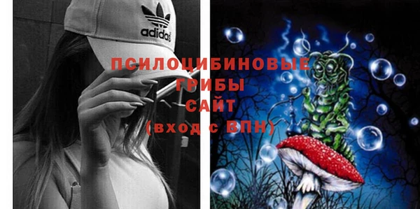 стафф Бородино