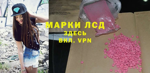 стафф Бородино