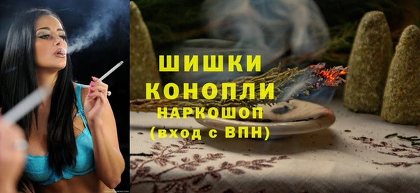 стафф Бородино